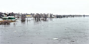 1996 Selkirk Flood 1