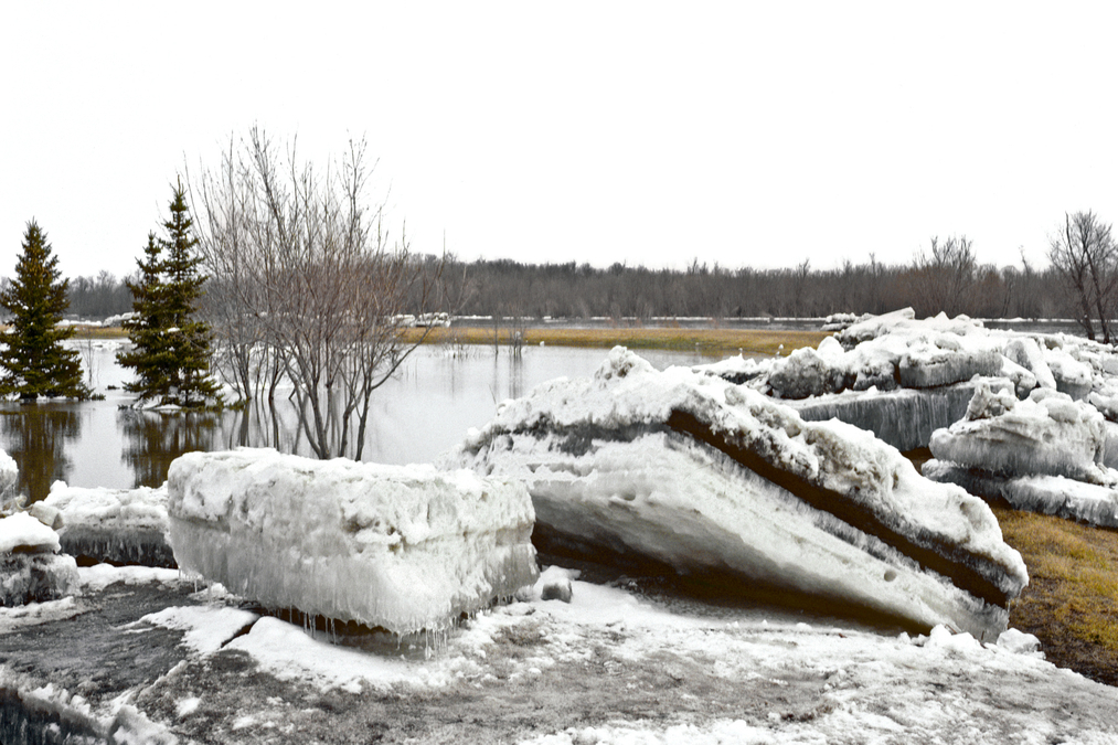 1996 Selkirk Flood 6