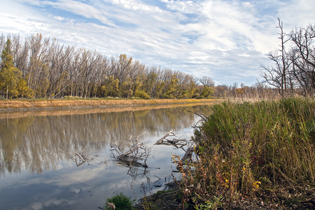 Beaudry Park 9