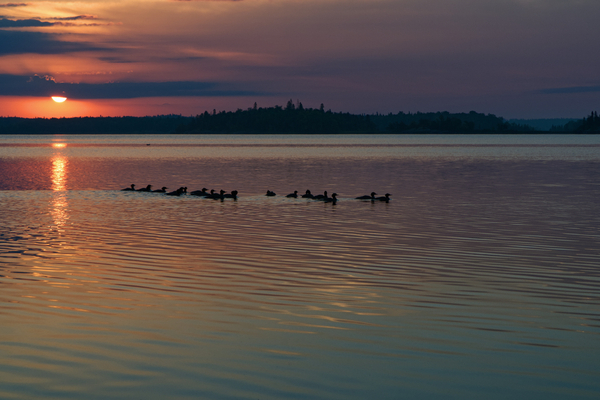 Big Whiteshell Lake 11