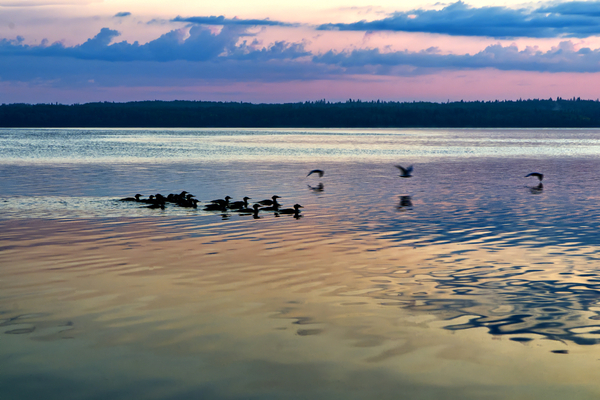 Big Whiteshell Lake 8