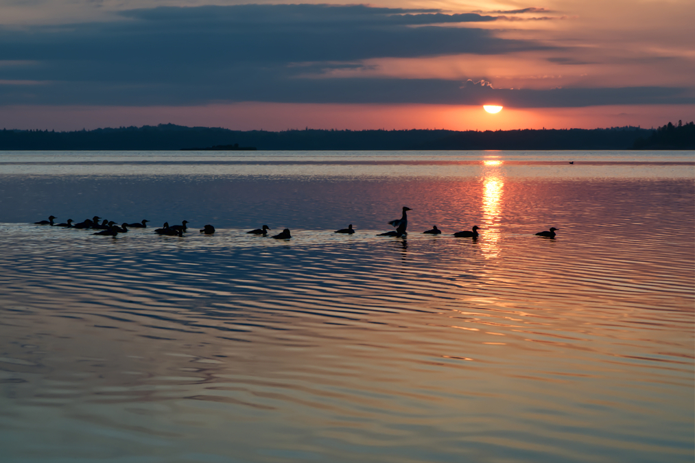 Big Whiteshell Lake 10