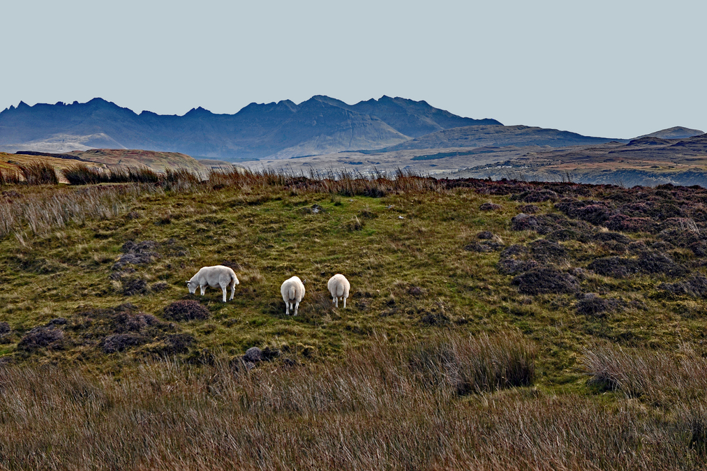 Dun Beag Broch_Isle of Skye 5220