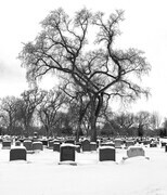 Elmwood Cemetery 1