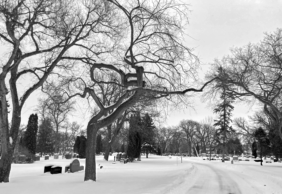 Elmwood Cemetery 2