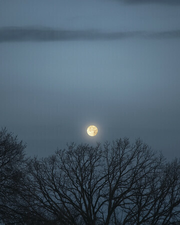 Moon Over Glenelm